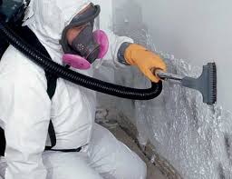 Best Mold Prevention Services in Kissee Mills, MO